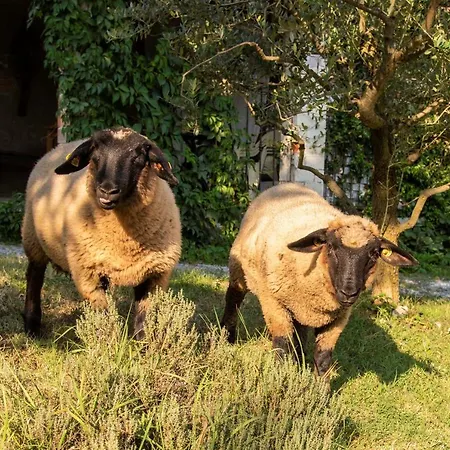 Farm stay Cascina Costa